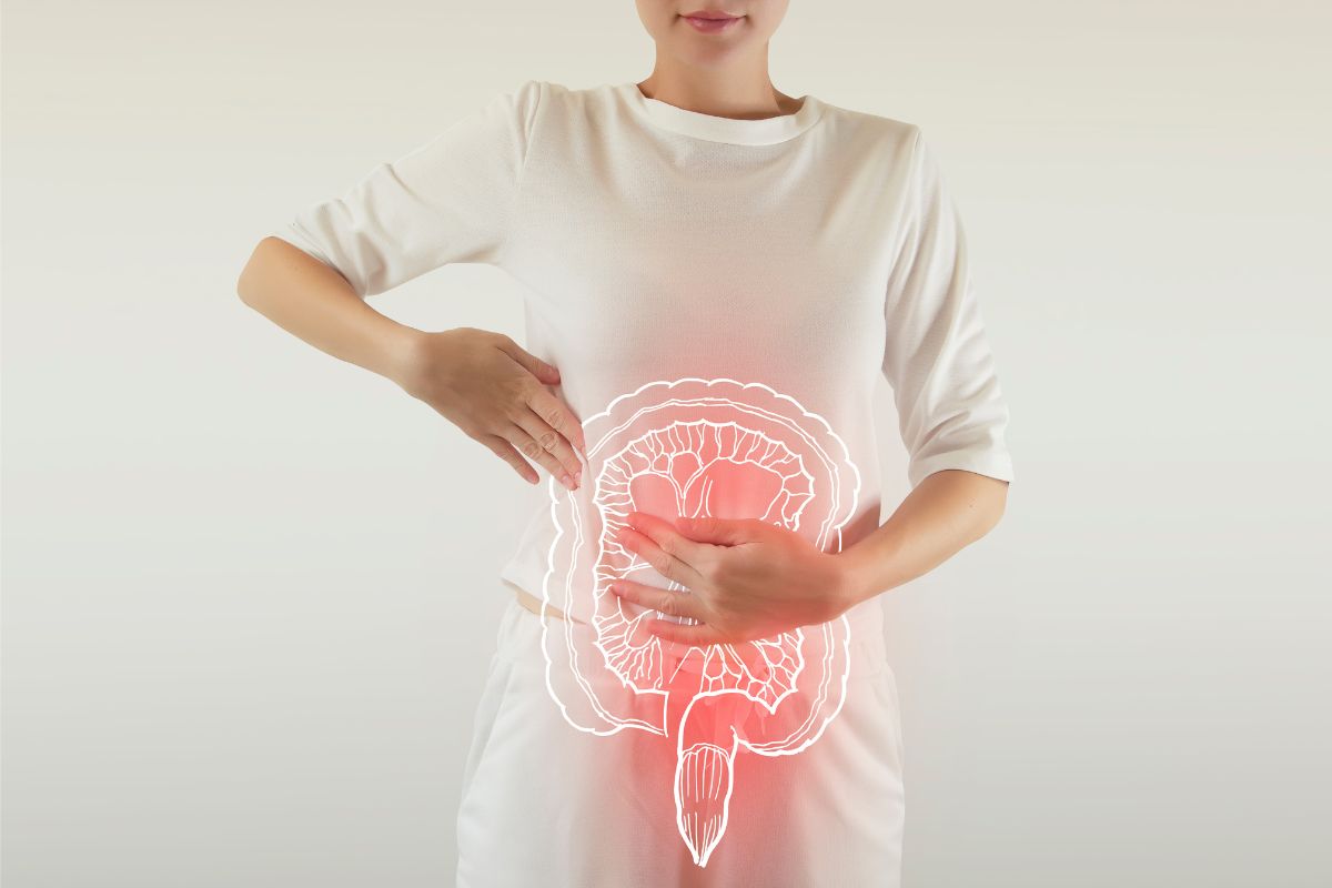 Leia mais sobre o artigo Modulação intestinal e o seu impacto no bem-estar geral
